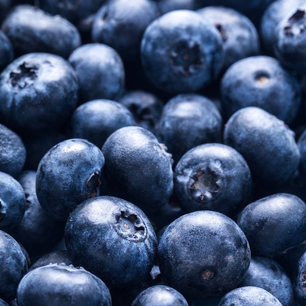 Angesetzte Schwarzbeeren