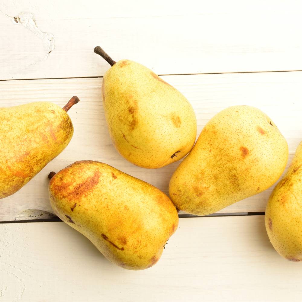 Williamsbirne | Edelbrand