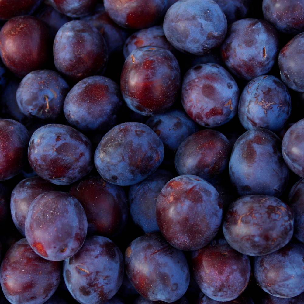 Zwetschge | Edelbrand