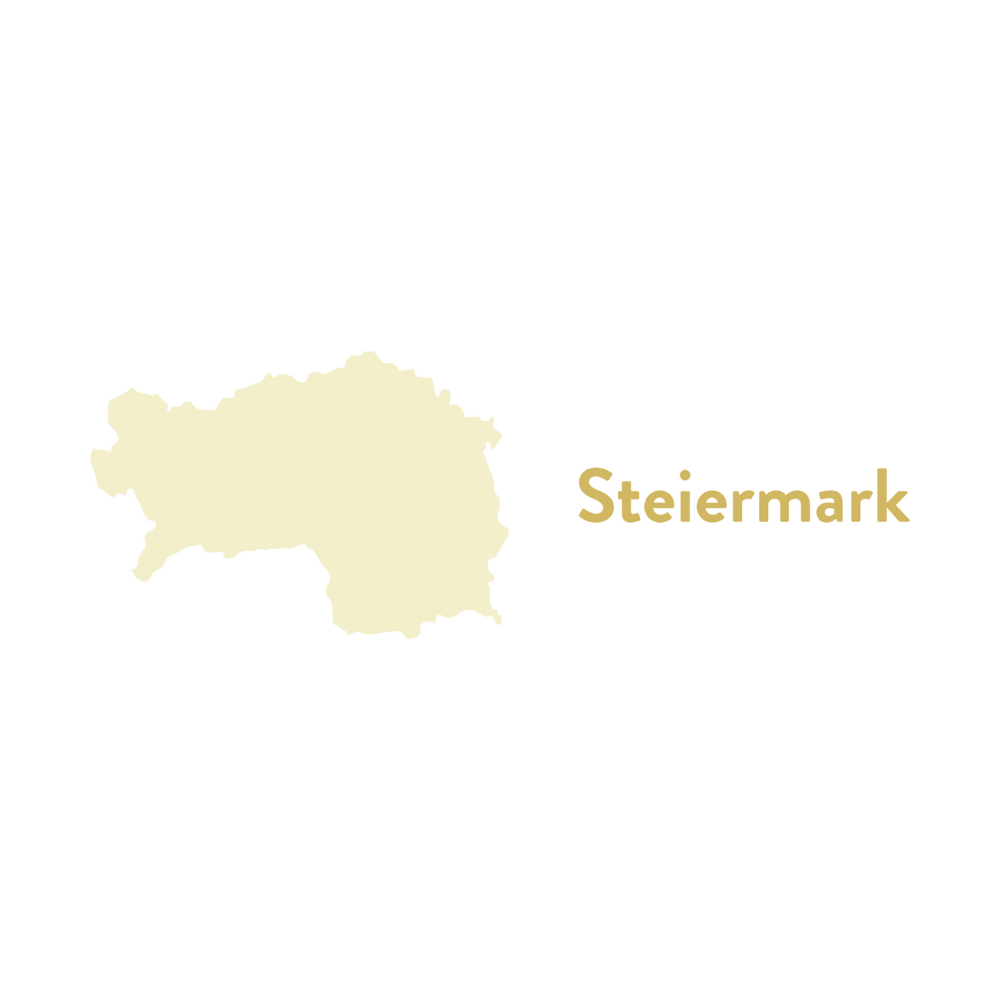 Blauer Zweigelt Steiermark 2021